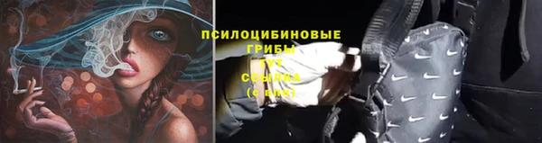 спиды Бородино