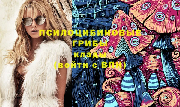 спиды Бородино
