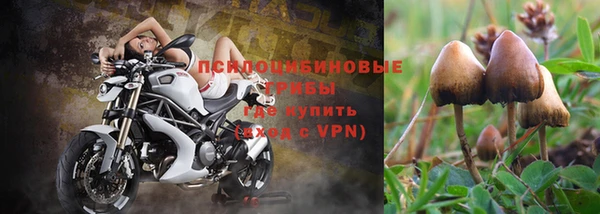 прущие крисы Бронницы