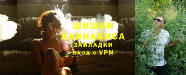 спиды Бородино