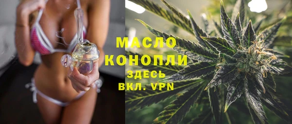 спиды Бородино
