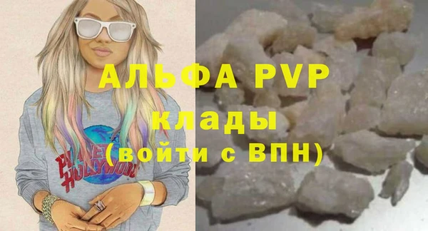 спиды Бородино